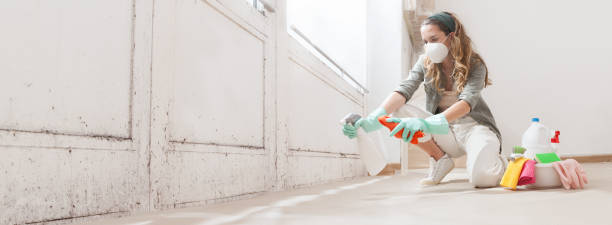 Trusted Kettering, MD Mold Inspection, Removal & Remediation Experts